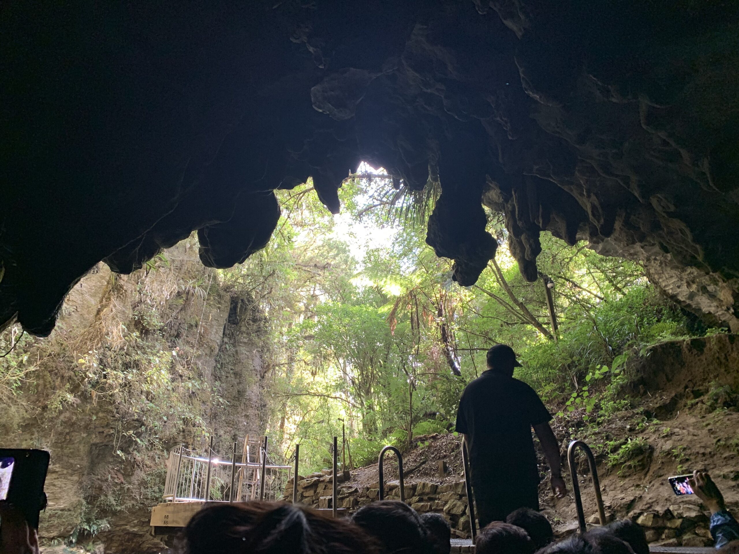 Waitomo Caves, participating in HIS optional tour