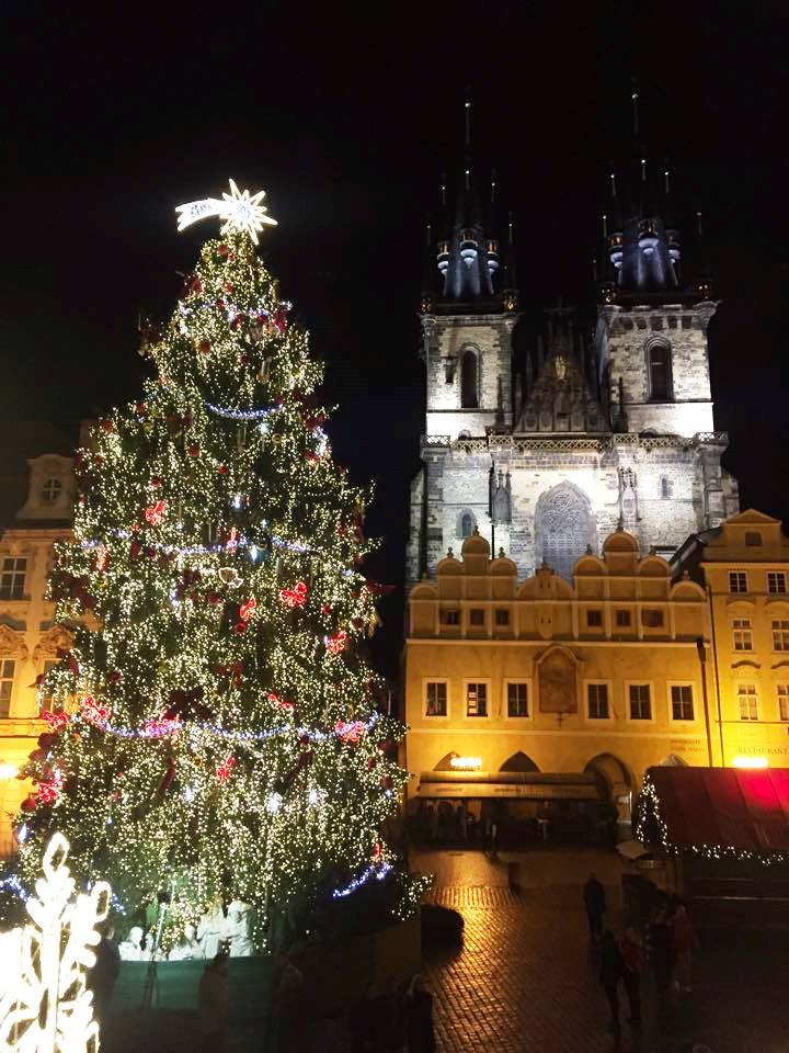 プラハの観光名所である旧市街広場に立つクリスマスツリーとティーン教会 
